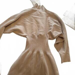 zara turtleneck sweater dress